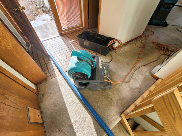 Best Basement water damage restoration  in Rancho Cordova, CA
