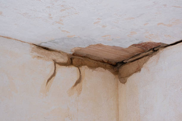 Best Fire Damage Restoration  in Rancho Cordova, CA