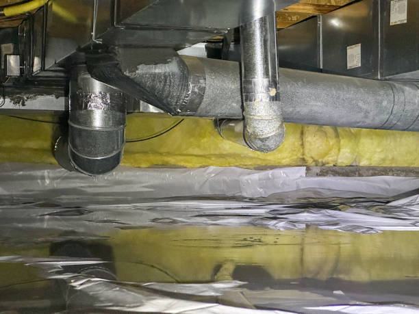 Best Professional water damage repair  in Rancho Cordova, CA