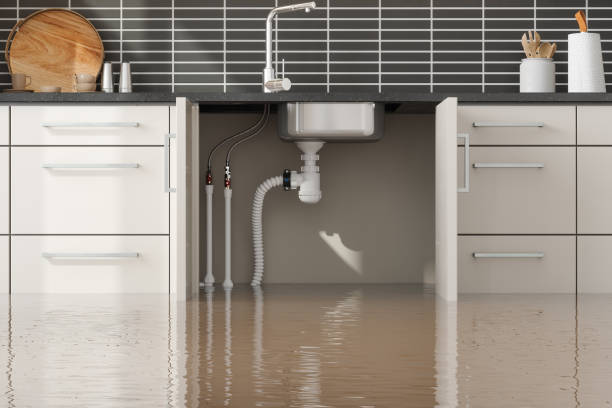Best Fire Damage Restoration  in Rancho Cordova, CA
