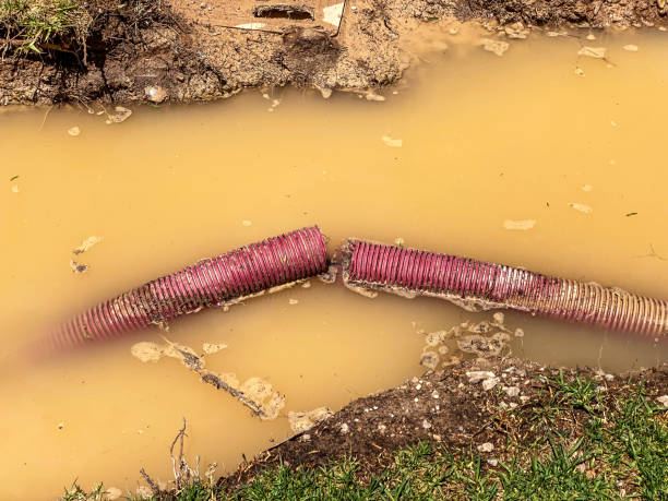 Best Residential water damage restoration  in Rancho Cordova, CA