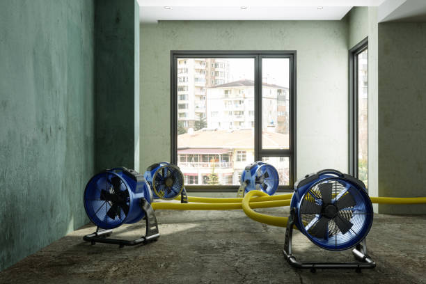 Best Sewage cleanup and water damage restoration  in Rancho Cordova, CA